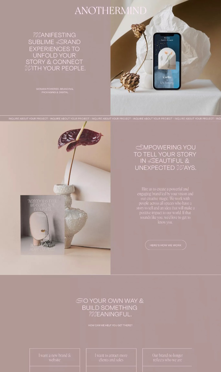 Another Mind — website design on Landdding