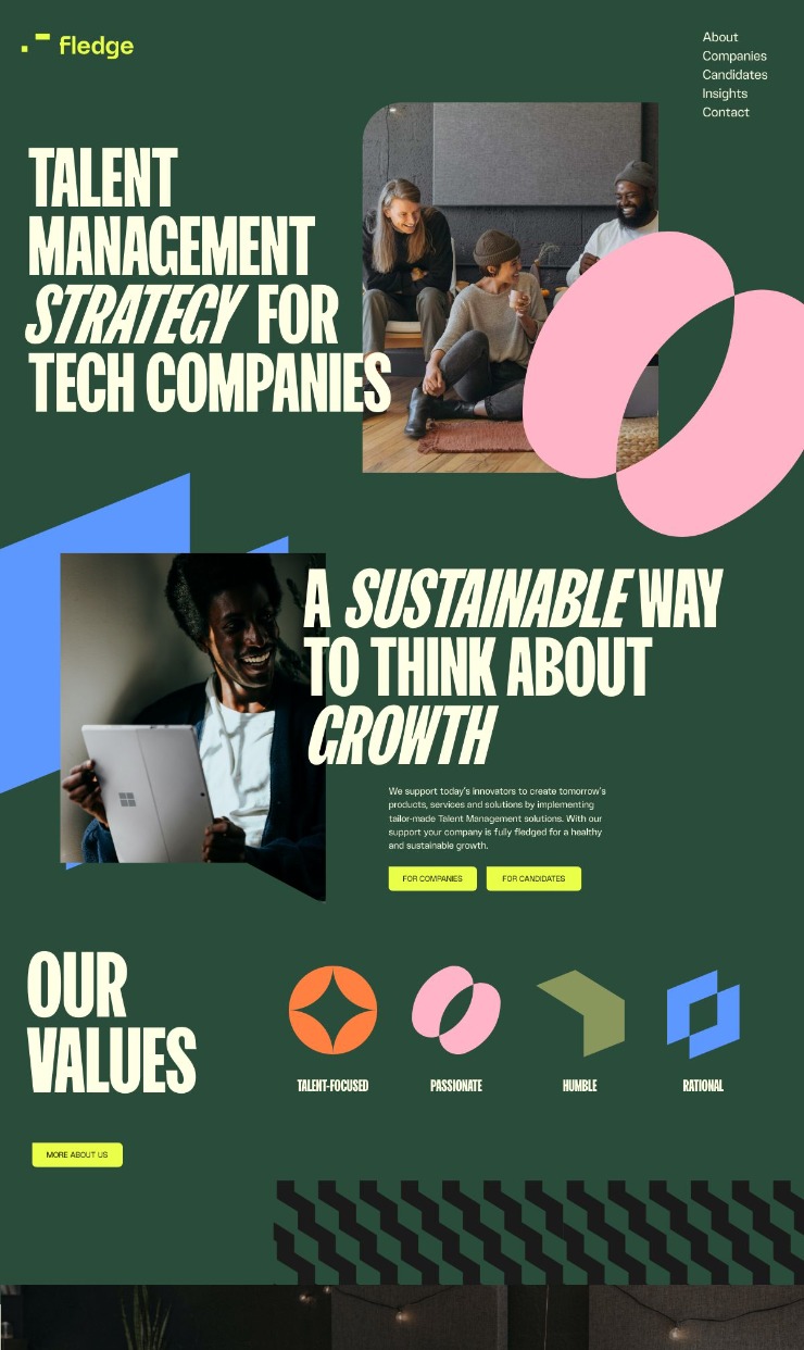 Fledge — website design on Landdding
