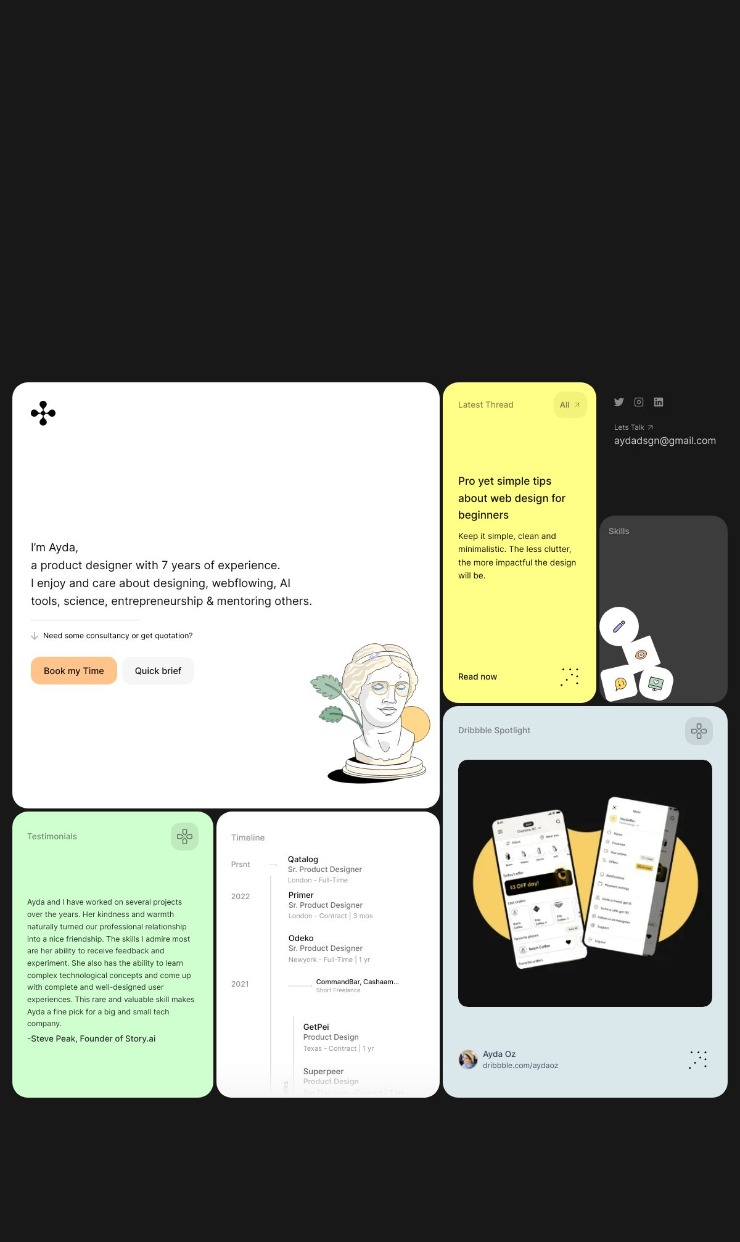 Ayda Oz  — website design on Landdding