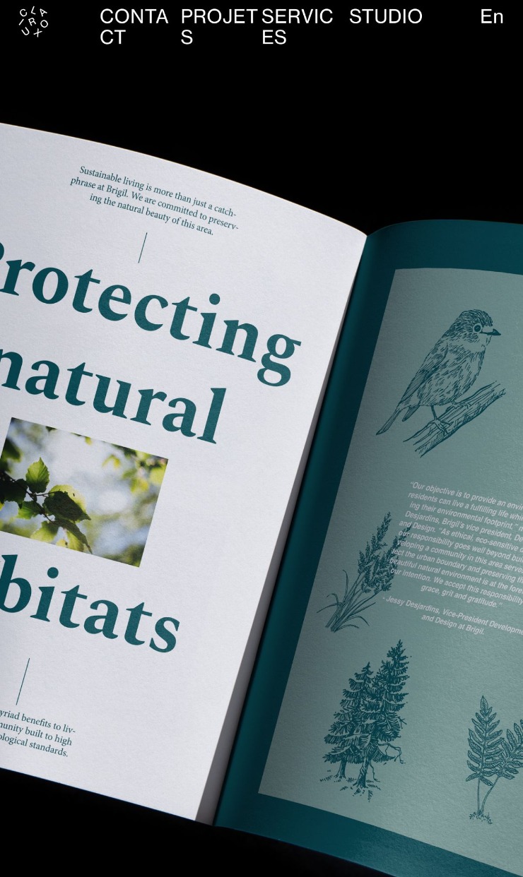 Clarioux — website design on Landdding