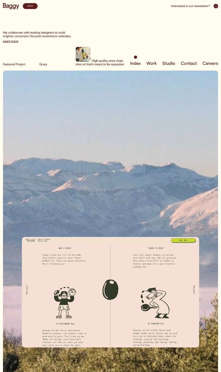 Baggy — website design on Landdding