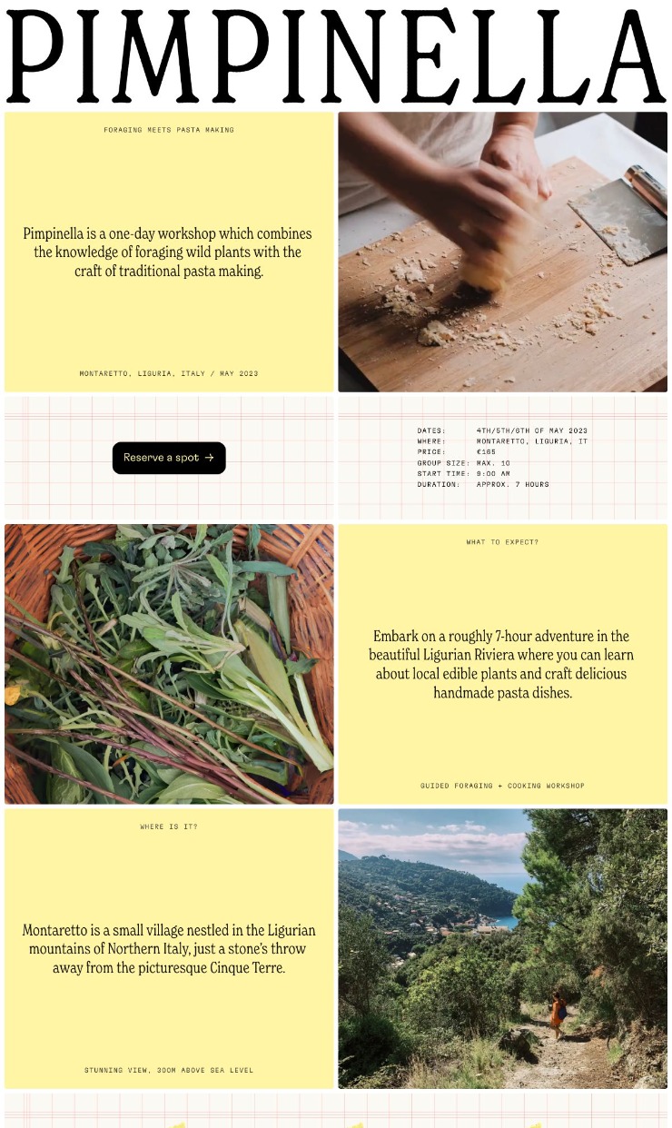 Pimpinella — website design on Landdding