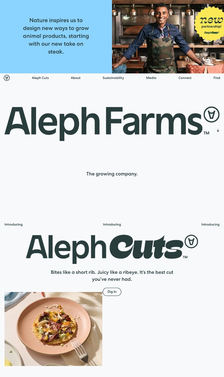 Aleph Farms — website design on Landdding