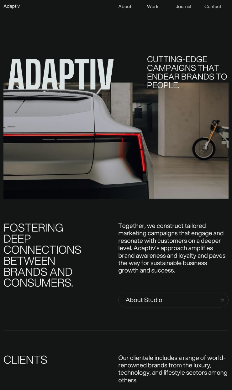 Adaptiv — website design on Landdding