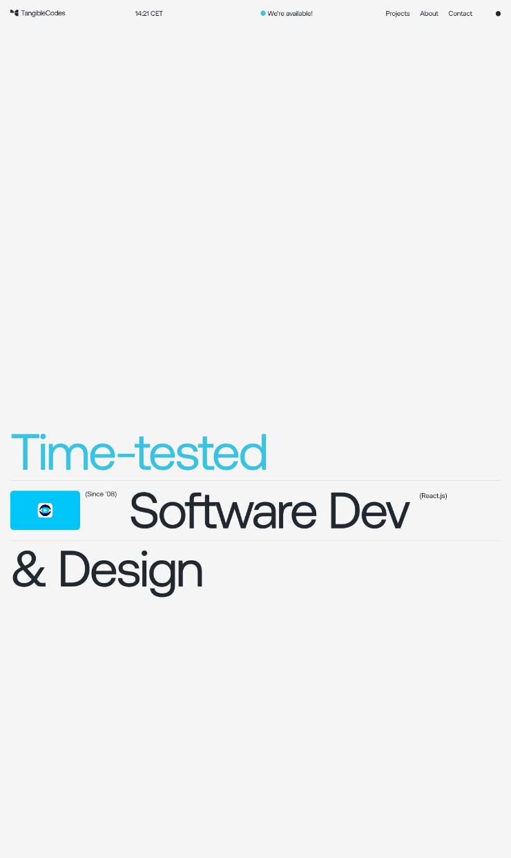 TangibleCodes — website design on Landdding