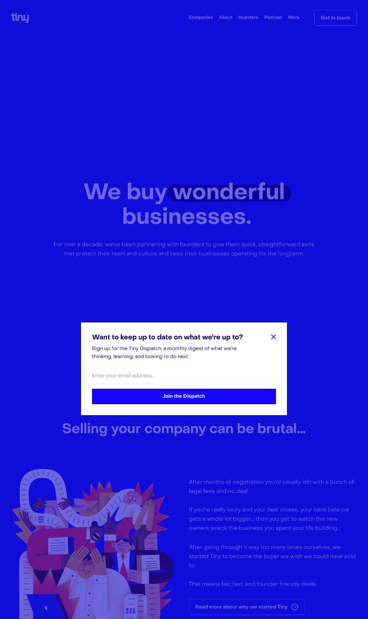 Tiny — website design on Landdding