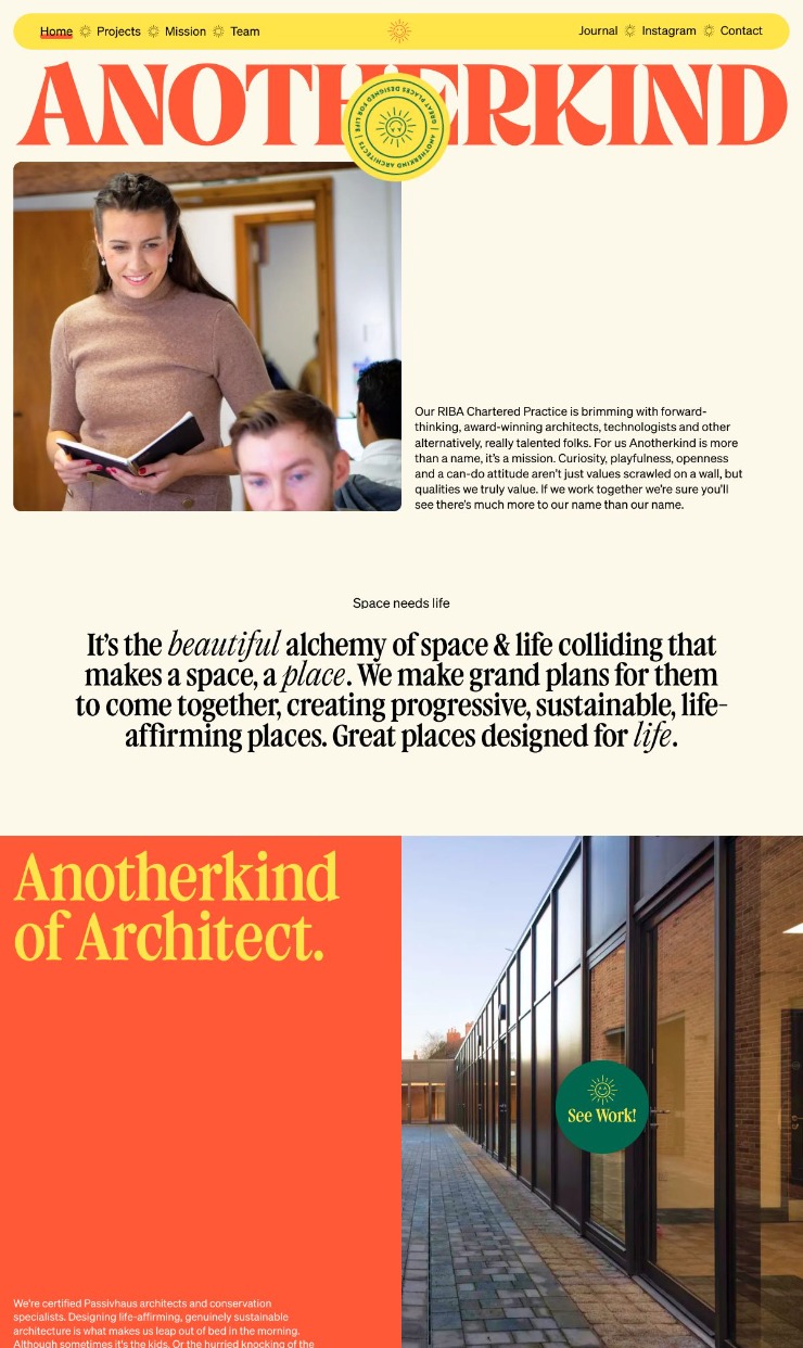 AnotherKind — website design on Landdding