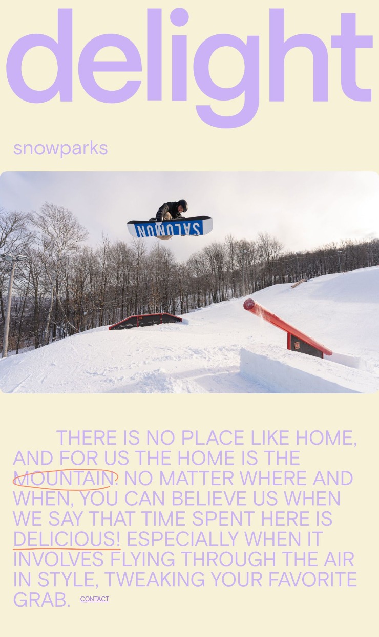 Delight Snowparks — website design on Landdding