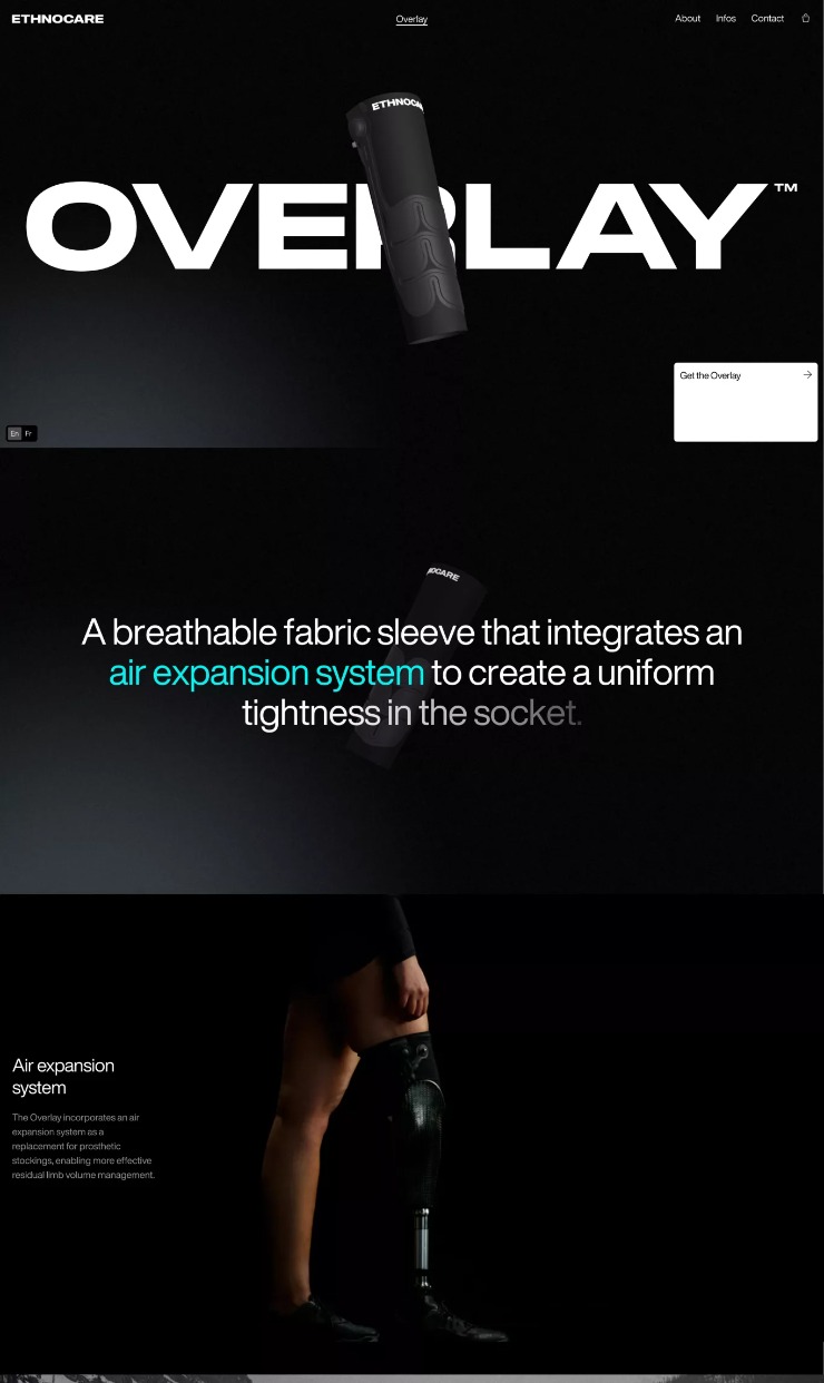 Ethnocare — website design on Landdding