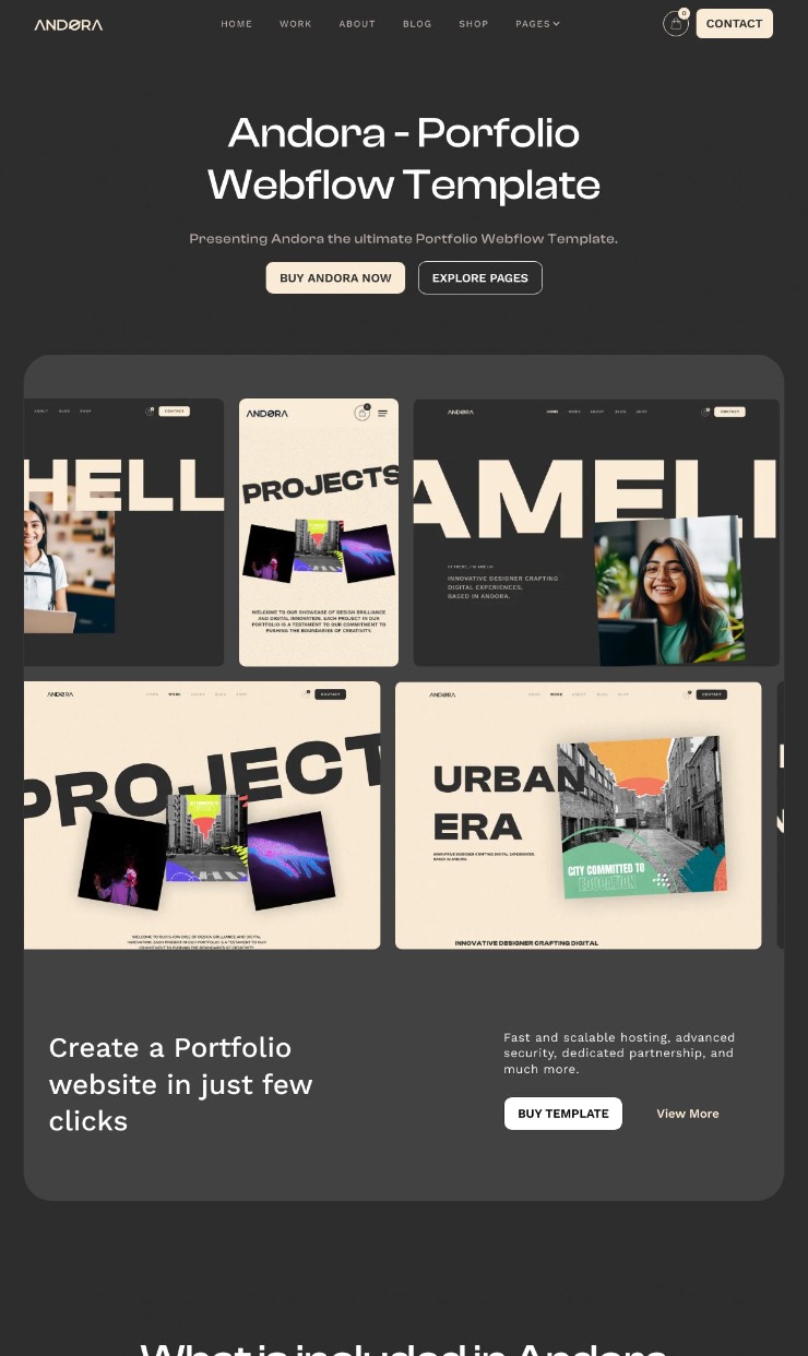 Andora Portfolio — website design on Landdding