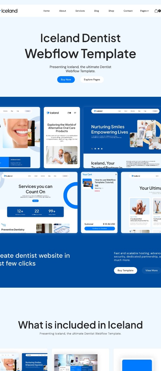 Iceland Webflow Dental template — website design on Landdding