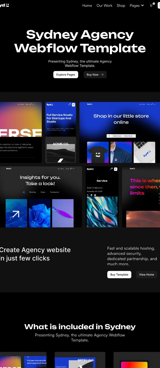 Sydney SaaS — website design on Landdding