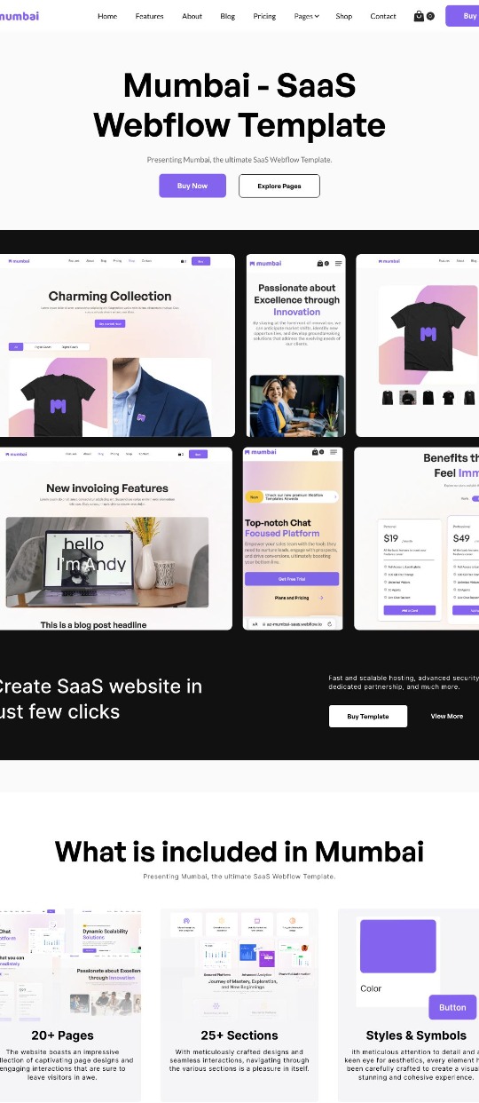 Mumbai SaaS Template — website design on Landdding