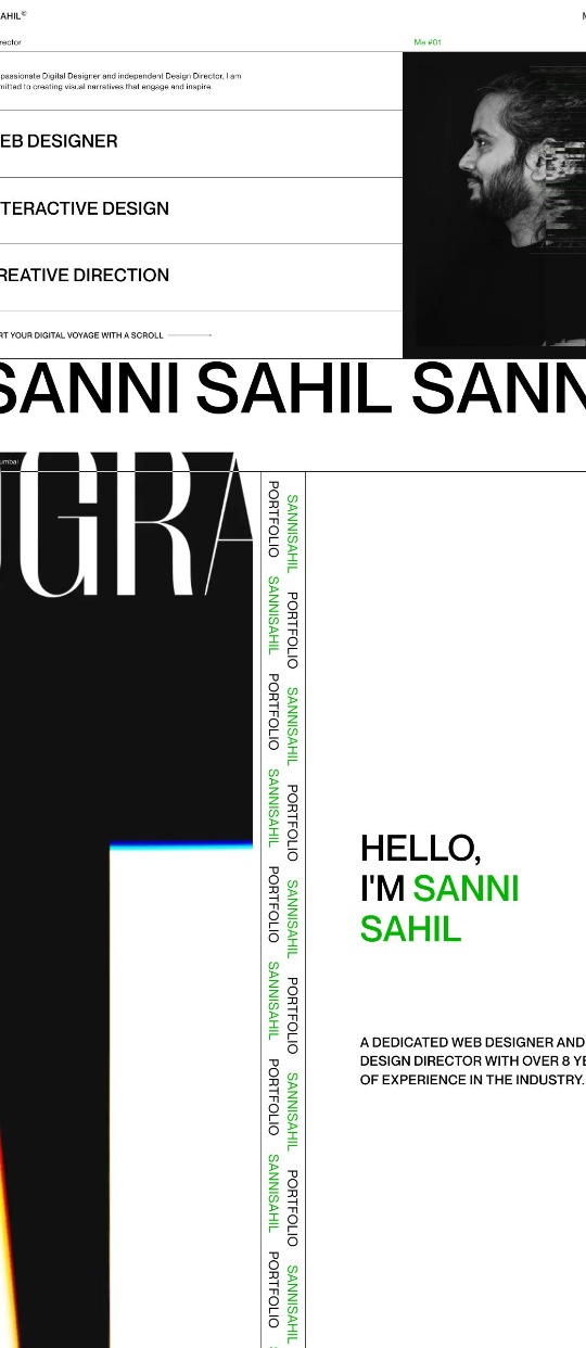 Sanni Sahil — website design on Landdding