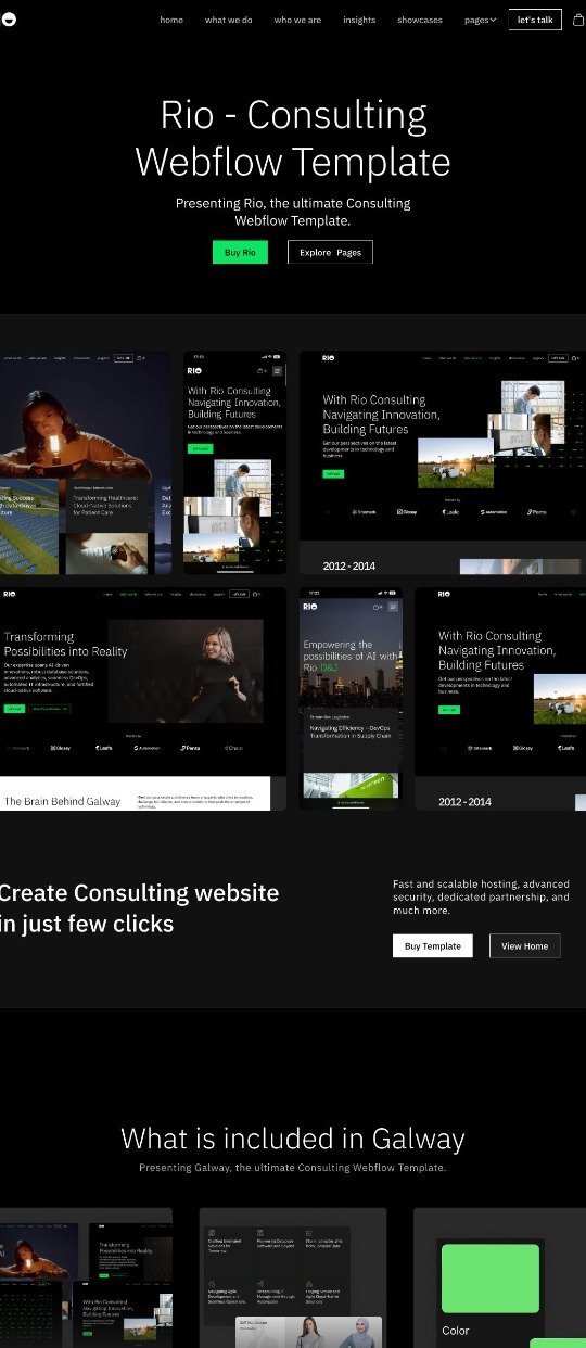 Rio – Wenflow Consulting agency — website design on Landdding