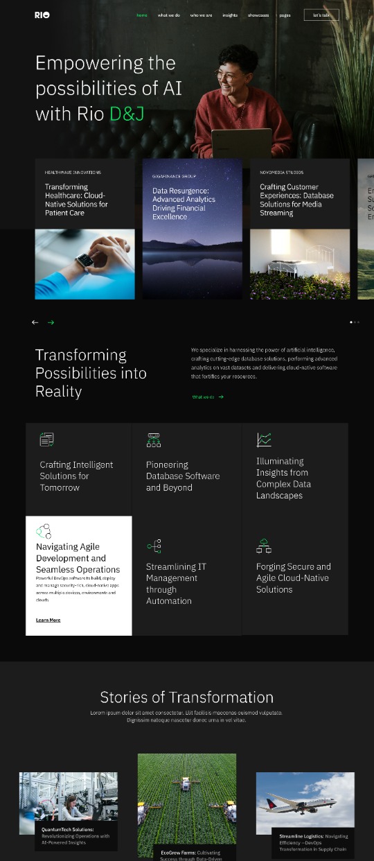 Rio – Webflow Consulting template  — website design on Landdding