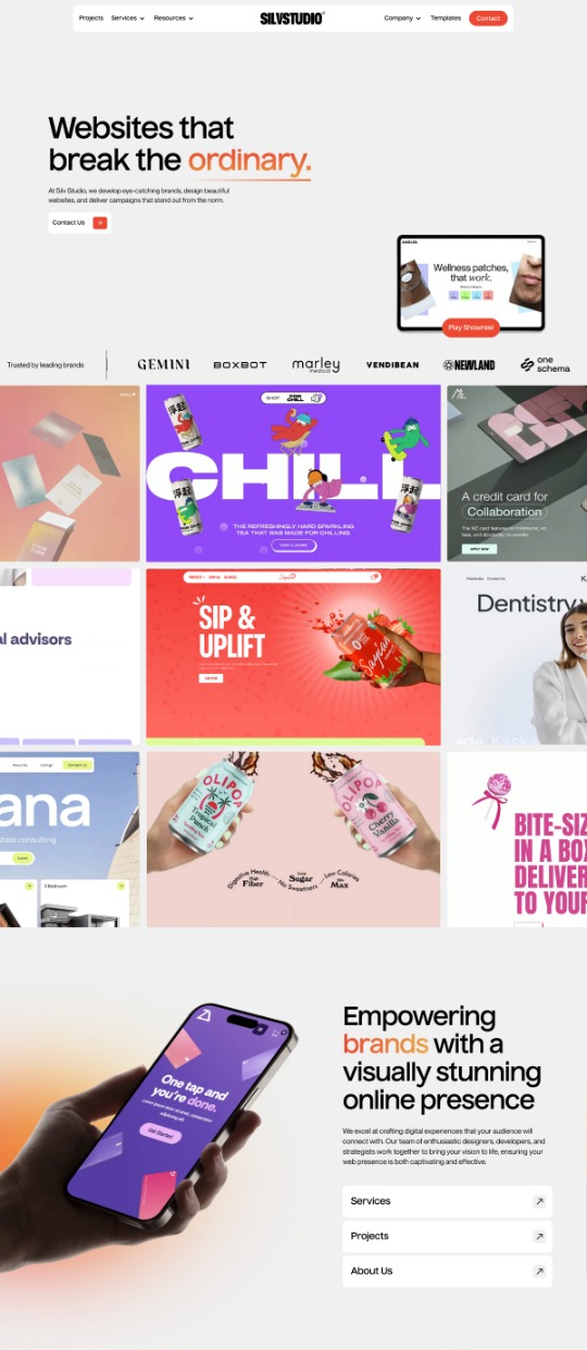 Silv Studio — website design on Landdding