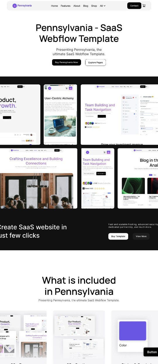 Pennsylvania – Webflow SaaS template  — website design on Landdding