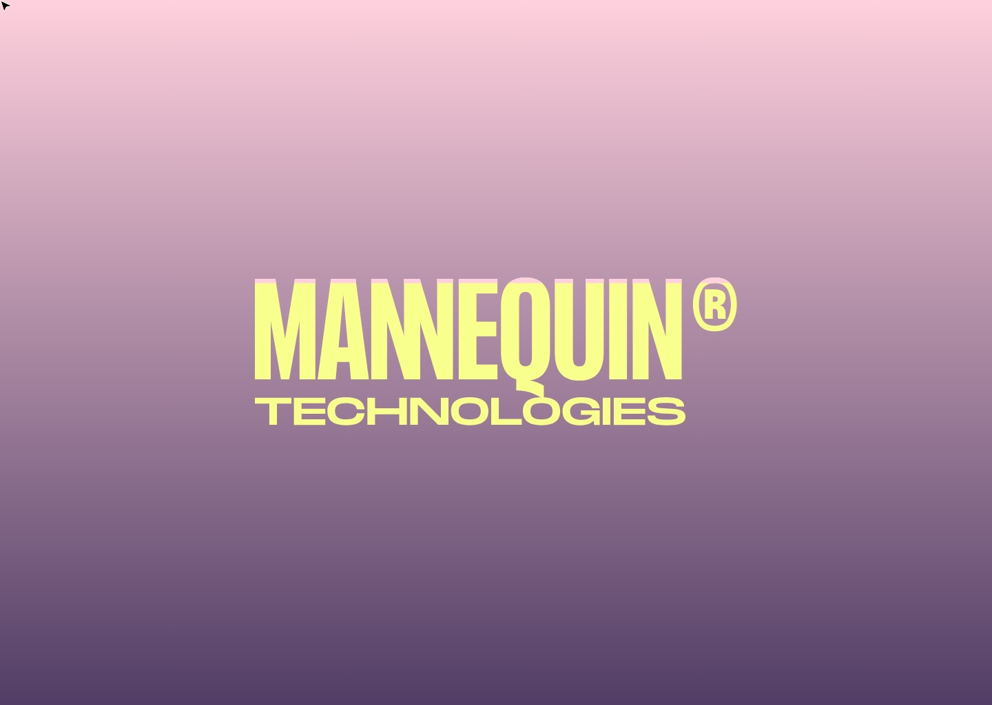 Mannequin Technologies — website design on Landdding