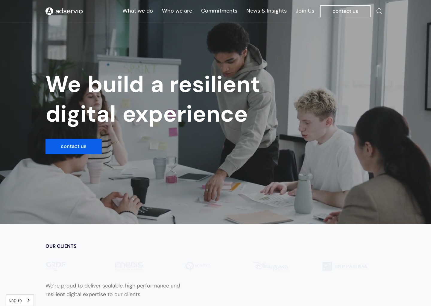 Adservio – Software Development & IT Service Provider — website design on Landdding
