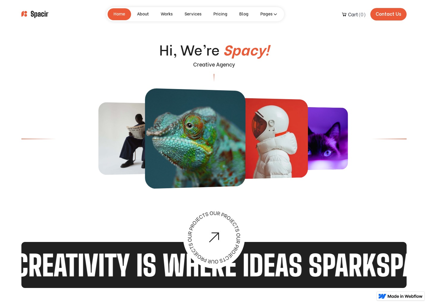 Spacir - Creative Agency Webflow Template — website design on Landdding