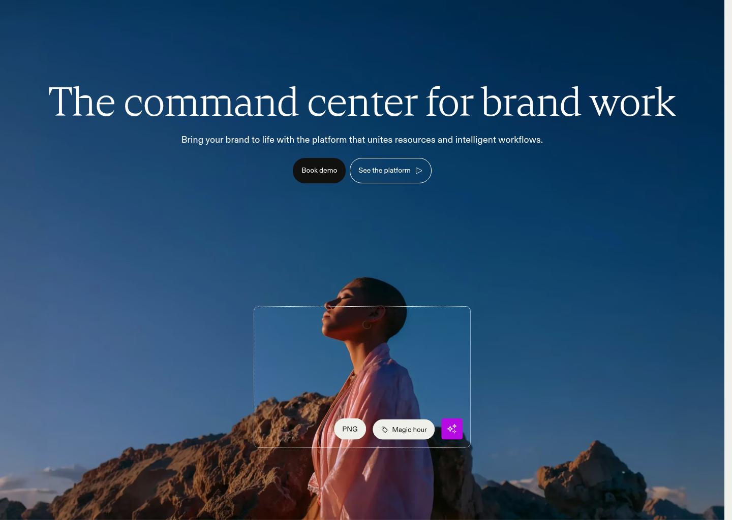 Frontify: Where Brands Live  - Brand Management Software — website design on Landdding