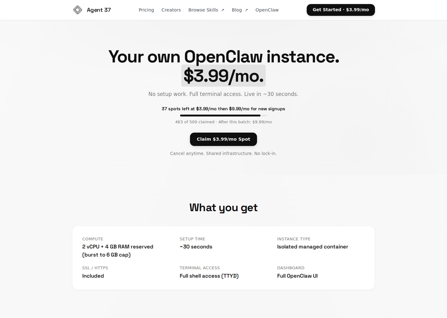 Agent37 — Managed OpenClaw Hosting & Skill Monetization — website design on Landdding