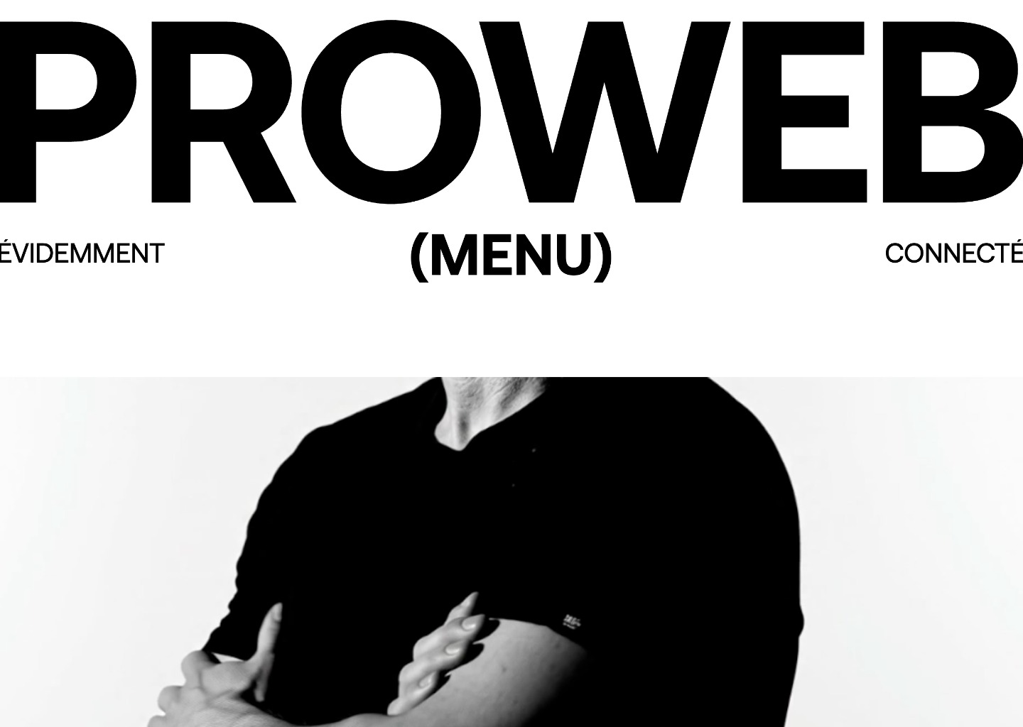PROWEB — website design on Landdding