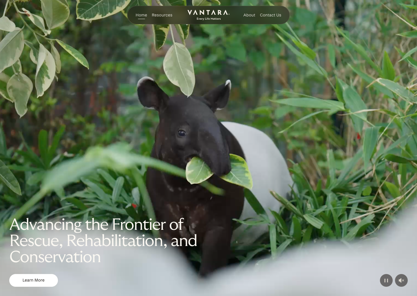 Global Wildlife Rescue and Conservation Centre in Jamnagar | Vantara — website design on Landdding
