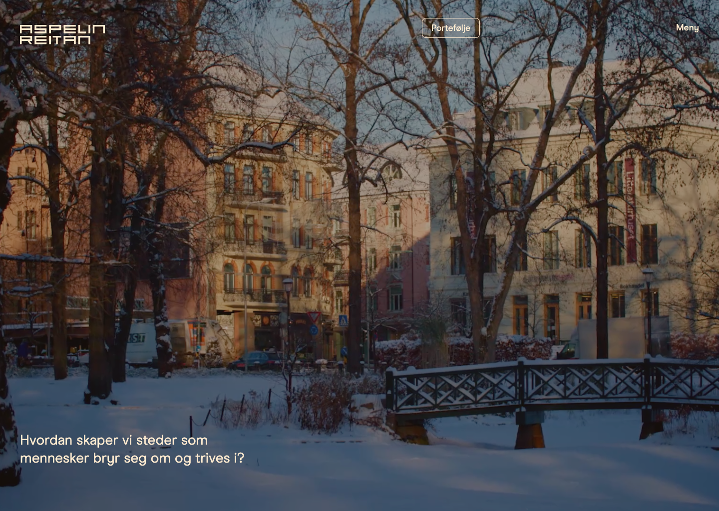 Aspelin Reitan — website design on Landdding